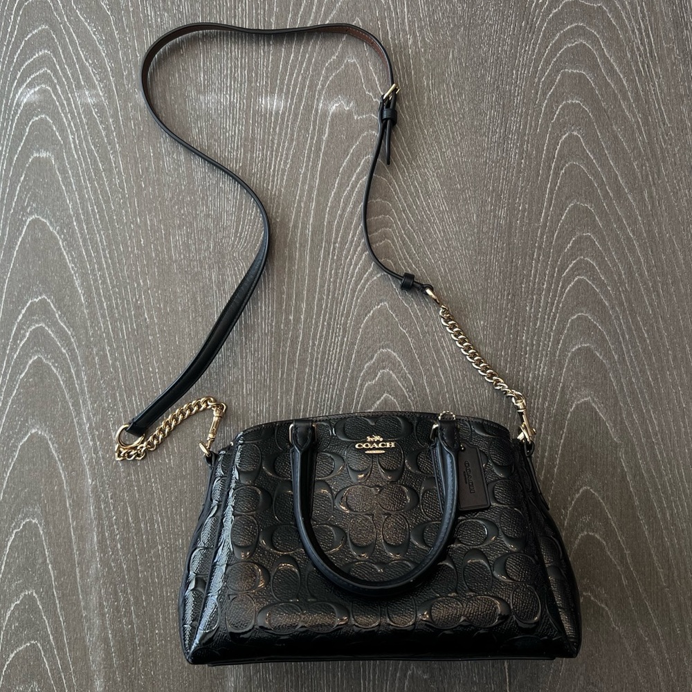 Coach Carryall Mini Sage Cross Body Bag